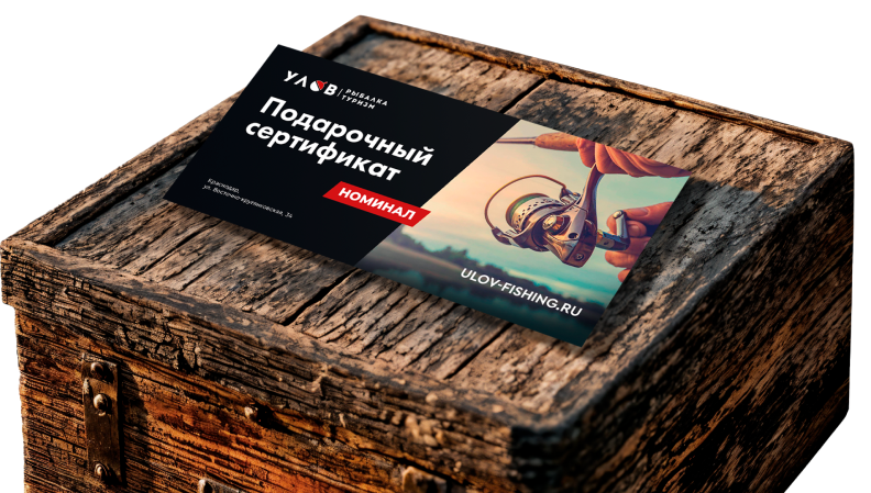 Подарите свободу выбора!