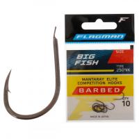 FLAGMAN Крючок Big Fish 1
